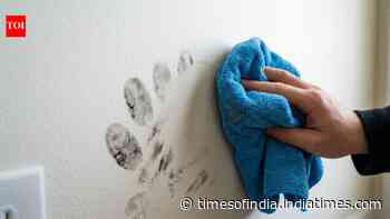 How to remove greasy fingerprints from painted walls: 5 simple cleaning methods