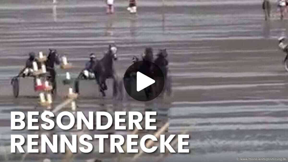 Duhner Wattrennen feiert 90. Jubiläum: Pferde rasen über den Meeresboden