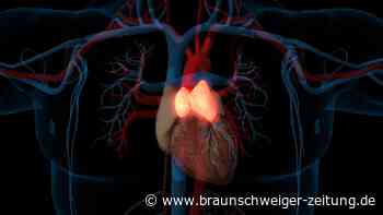 Longevity: Kaum bekanntes Mini-Organ soll vor Krebs schützen