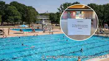 Eine tierische Gänse-Geschichte aus Braunschweigs Raffteichbad - jetzt mit Foto