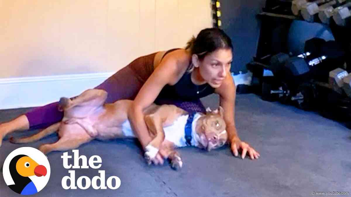 After Losing Her Son, His Dog Never Left Her Side | The Dodo