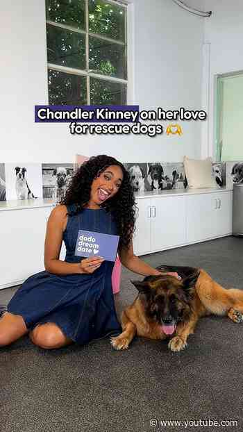 Why Rescue Dogs Mean So Much To Chandler Kinney | The Dodo