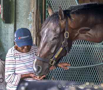 Sovereignty solidifies Saratoga legacy with Whitney win; matchup with Forever Young could be next