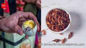 9 strangest street foods from around the world that locals swear by