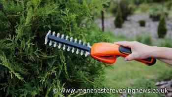 Gardening expert explains rules on trimming a neighbour’s overhanging hedge