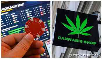 Problem in America? Sports betting, marijuana use soars