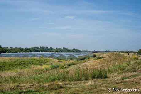 Delfland en Glastuinbouw Nederland onderzoeken oplossingen voor watertekort