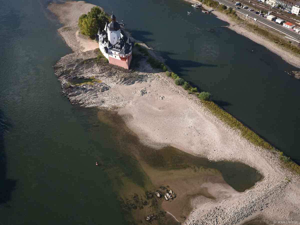 Niedrigwasser-Lage: Wird der Rhein jetzt zweigeteilt?