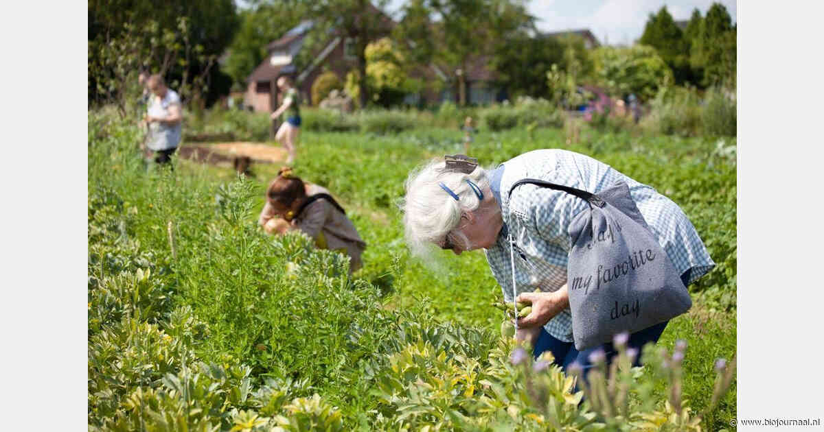 Stadslandbouw Mooieweg organiseert zelfoogst, open dag en workshops
