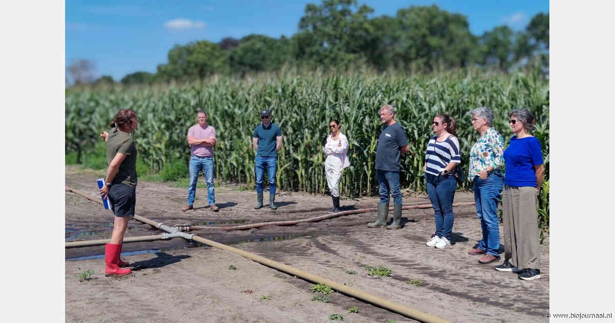 Stuurgroep Groene Veredeling bezoekt proefveld voor phytophthoraresistentie