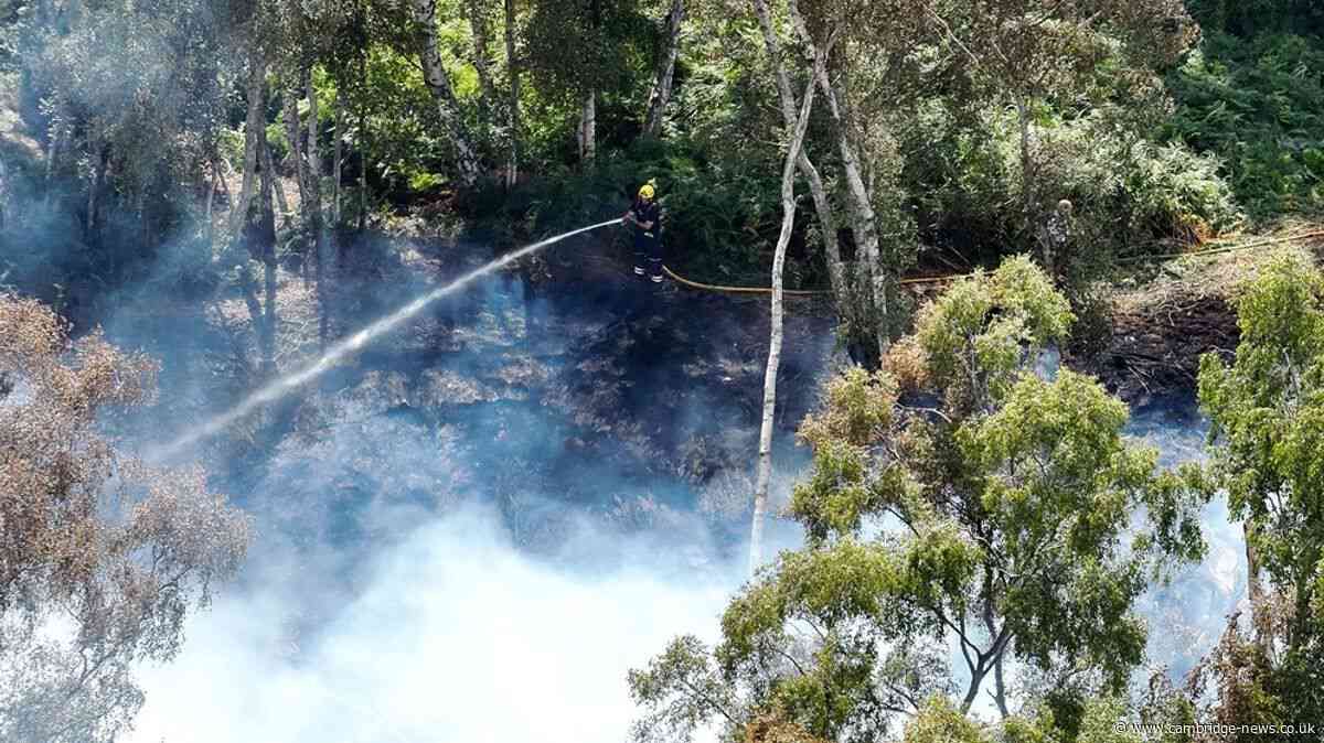 Fire rips through nature reserve for third day as public told 'avoid area'