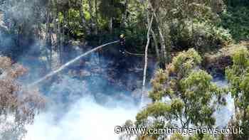 Fire rips through nature reserve for third day as public told 'avoid area'