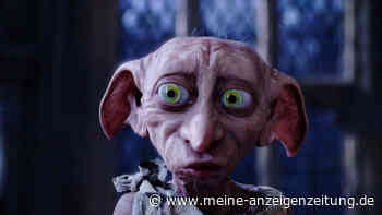 Hunderte wütende Anrufe wegen Dobby: Wie ein Hauself ein Milliarden-Kabel stoppte