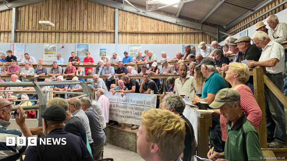 Health hub helping farmers catch hidden conditions