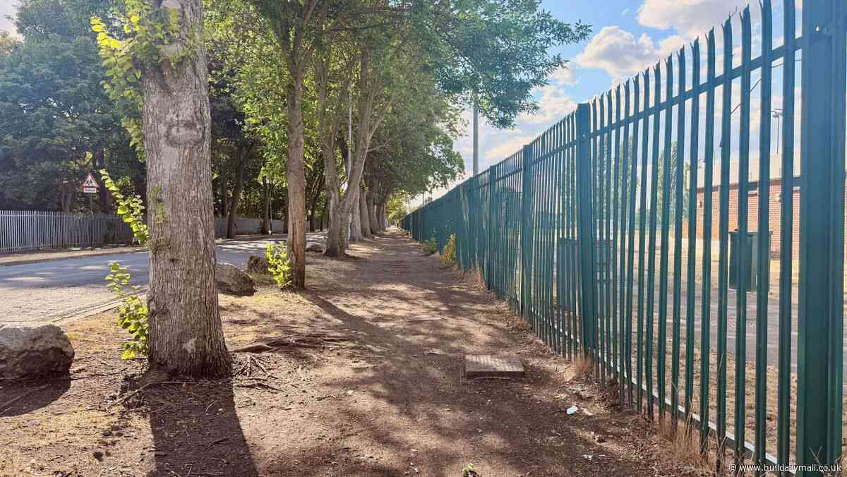 Pedestrian improvement works to begin after 'concerns raised'