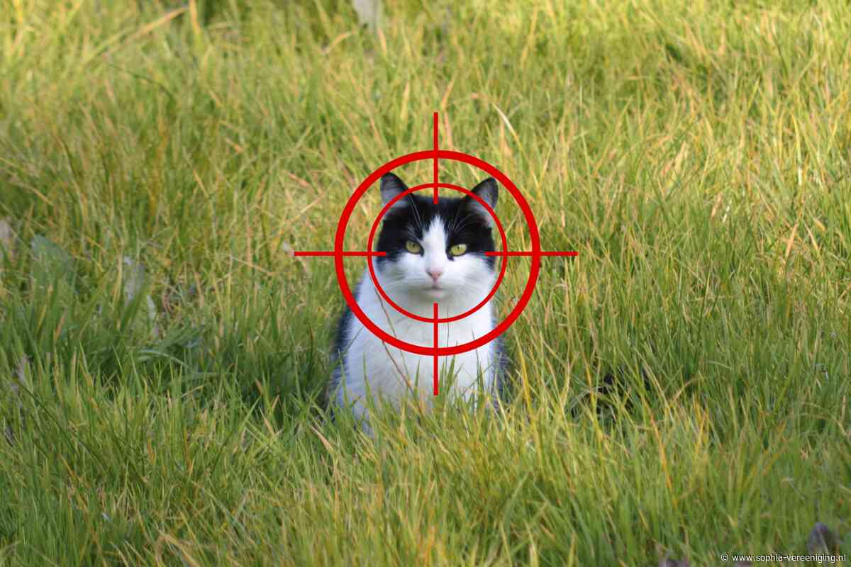Teken de petitie: stop het doodschieten van katten!