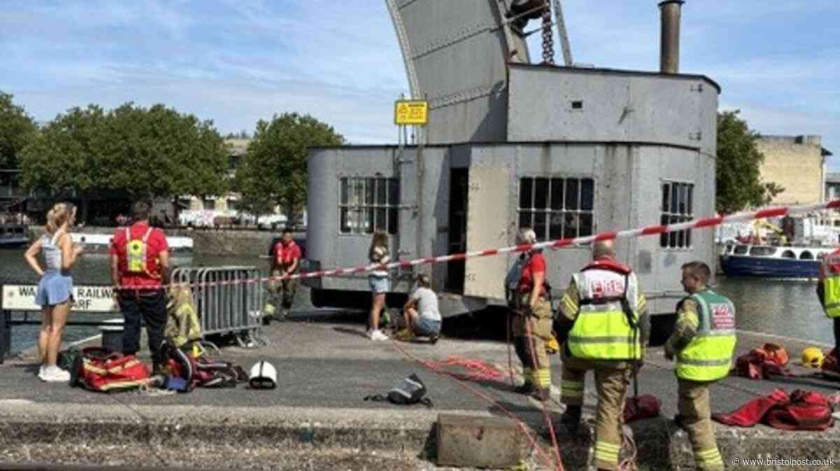Dramatic harbourside rescue after dog gets trapped under crane