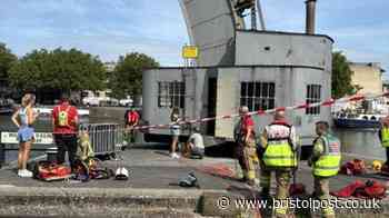 Dramatic harbourside rescue after dog gets trapped under crane