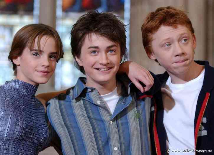 Wegen Dobby: Harry-Potter-Fans werfen Stromprojekt-Pläne um