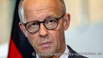Rente, Haushalt, Wahlen - welche Probleme auf Merz warten 