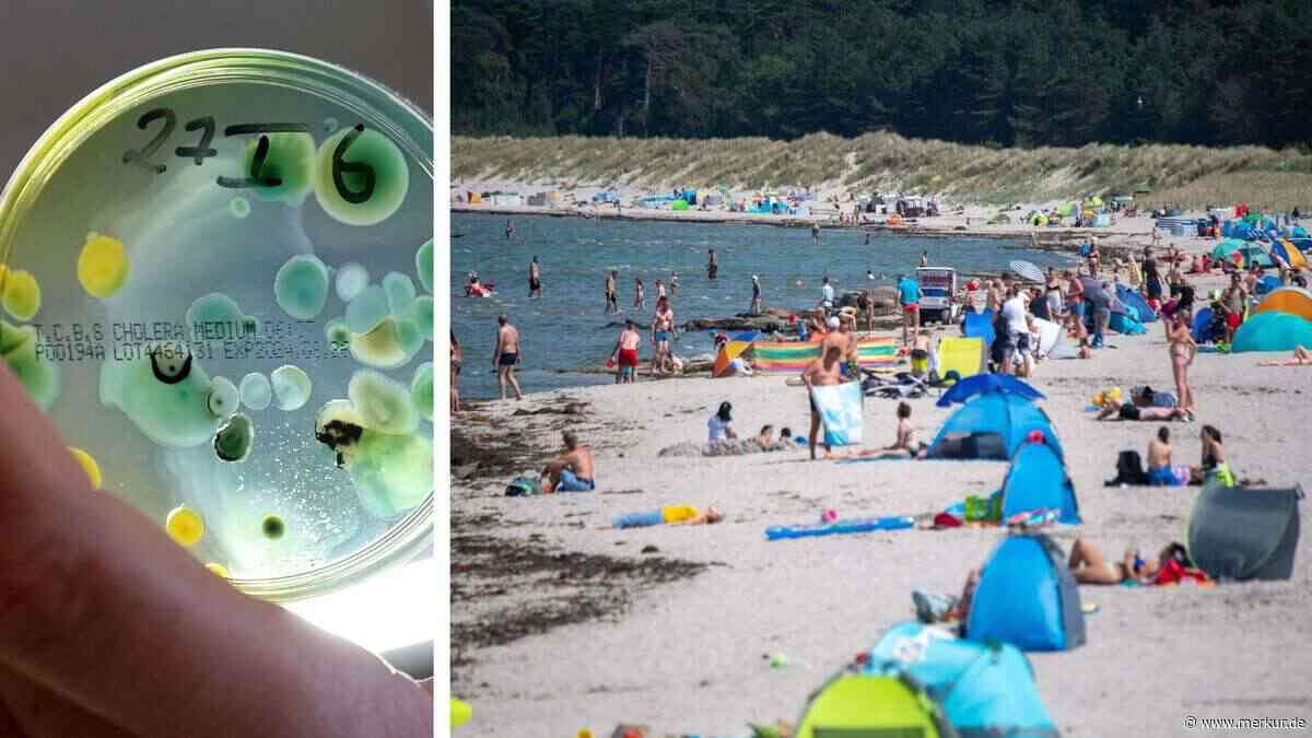 Jede fünfte Infektion endet tödlich: Fleischfressendes Bakterium an italienischer Küste entdeckt