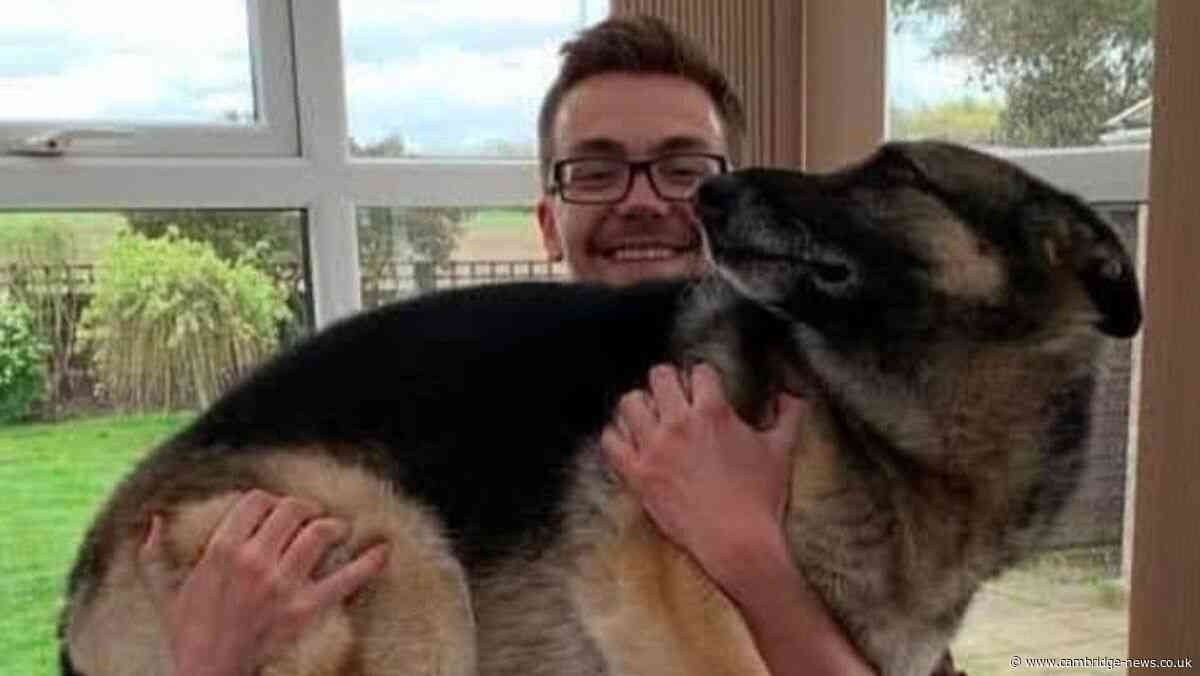 Family pays tribute to 'wonderful' and 'loving young man' killed in crash