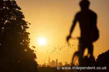 Amber heat health alerts issued in England as temperatures set to hit 36C