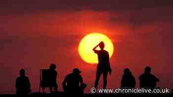 Yellow heat health alert issued for North East as region braces for 32°C temps