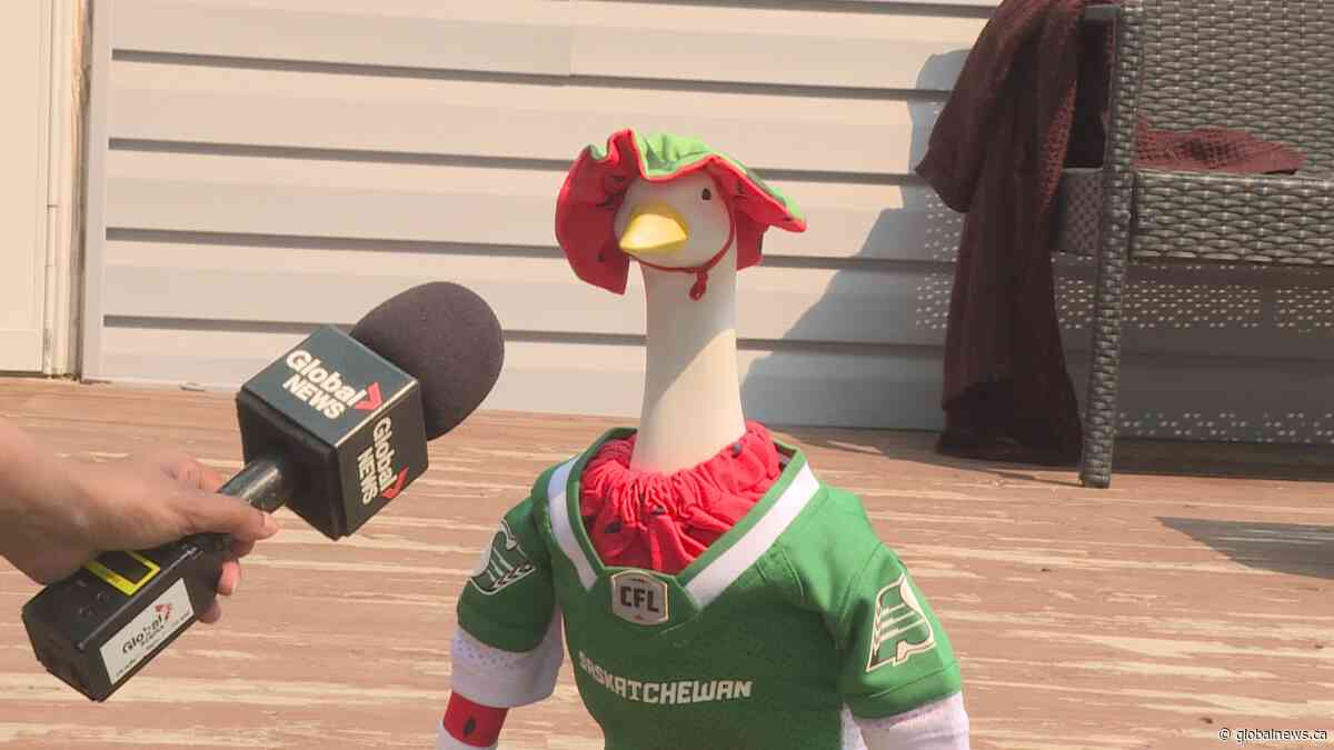 Porch geese trend taking off in Regina