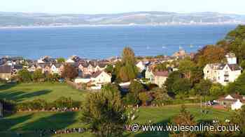 The best rugby grounds in Wales out of the 282 Welsh clubs