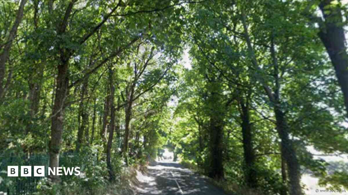 Boy, 17, and two men die in crash on country lane