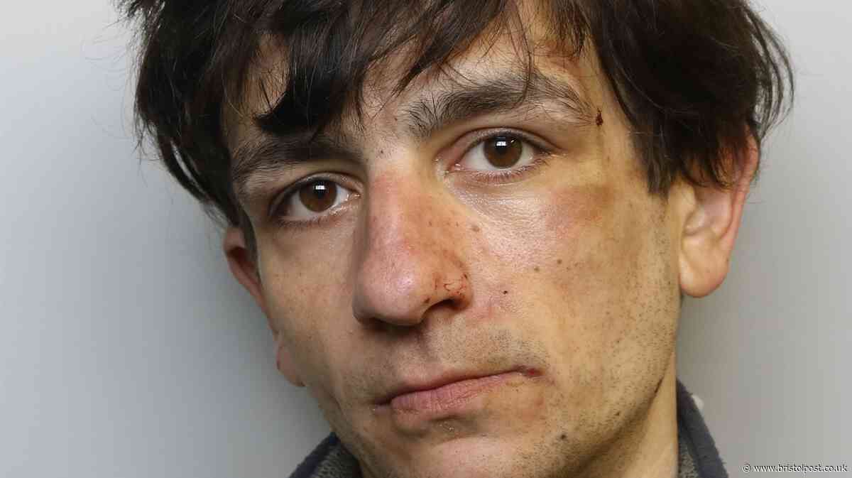 Bristol man jailed after stealing meat, cheese and handbags
