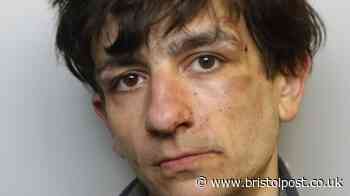 Bristol man jailed after stealing meat, cheese and handbags