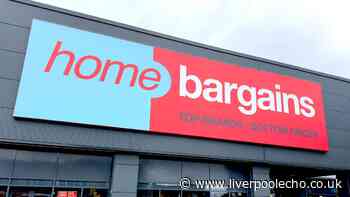 Home Bargains drops Halloween range and shoppers go wild for £20 item