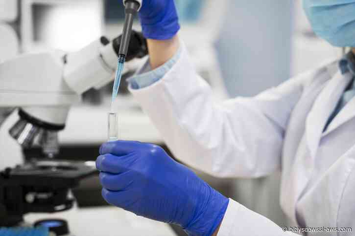 Modelos genómicos de IA conciben virus para la medicina del futuro