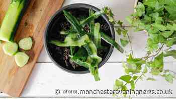 Households told to leave cucumber peels in gardens this week
