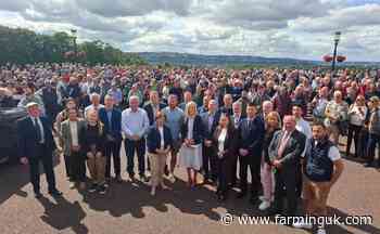 Hundreds rally at Stormont over destruction of 51 cattle