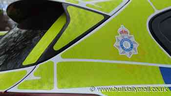 Murder investigation launched after stabbing