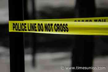 Woman survives Albany shooting