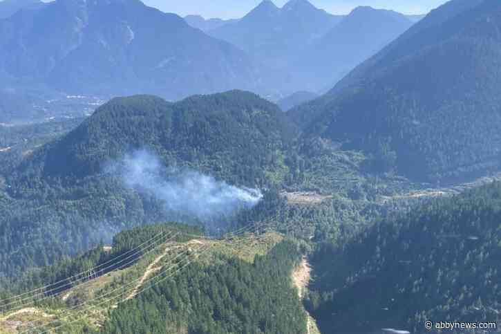 Twin Lakes wildfire near Hemlock Valley grows to 18 hectares