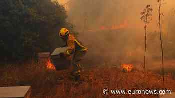 Firefighters battle wildfire in eastern Spain's Castellón