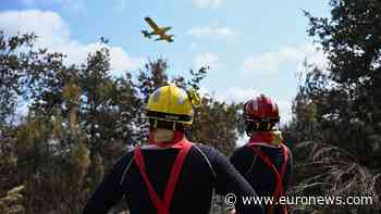 Wildfire burns 100 hectares near Narbonne in France