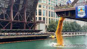90,000 rubber ducks race down Chicago River for charity