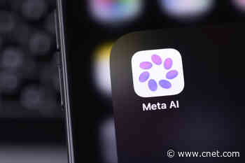 Meta’s New Open-Weight Model Can Run AI Agents on Your Laptop