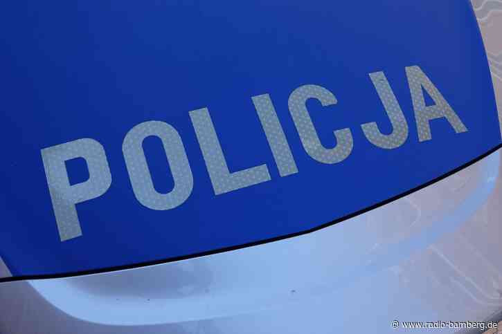 Behörden in Polen warnen vor freilaufender Raubkatze