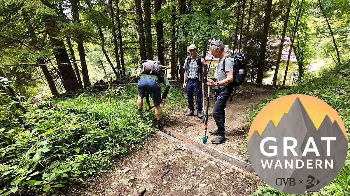 Gratwandern: Rosenheimer DAV-Wegewart erklärt, warum es so wichtig ist, auf dem Weg zu bleiben