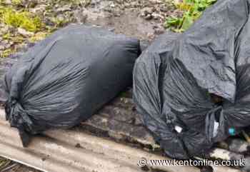 Fly-tipper fined after being caught on camera dumping waste in rural lane