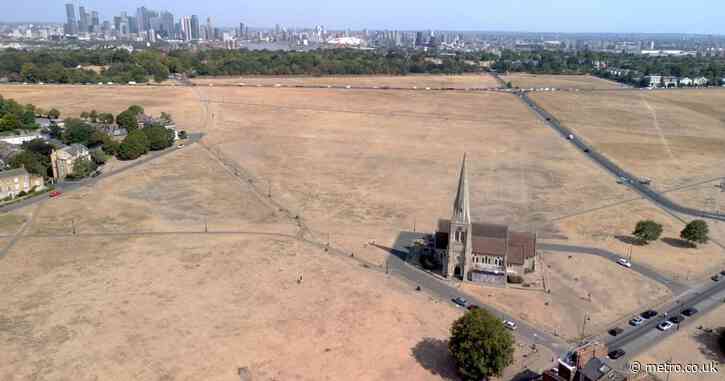 London’s parks are yellow and dusty — doctors say you need this ‘irksome’ item to stay safe