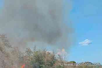 Circulation perturbée sur l’A8 et circulation des trains interrompue : un feu se déclare aux abords de l’A8 dans le Var