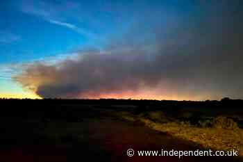 New Forest may take decades to recover from ‘devastating’ fire as more than 120 firefighters continue to battle blaze